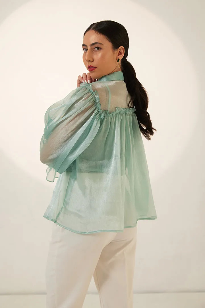 Mint Green Organza Full sleeves Party Top