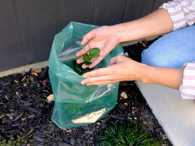 Tree Protection Sleeves